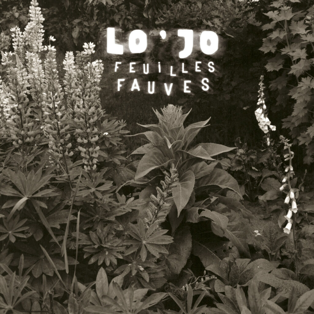 LO'JO Feuilles fauves